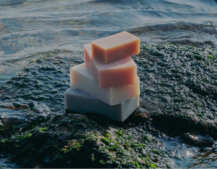 FOUR SEASONS SOAP
